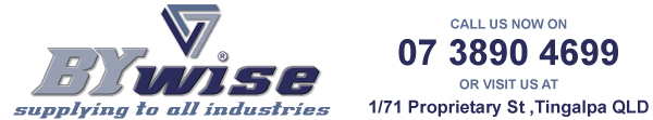 Bywise Logo